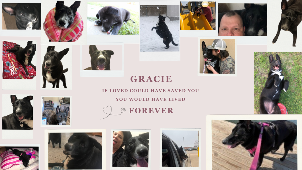 Gracie Mae About Page
