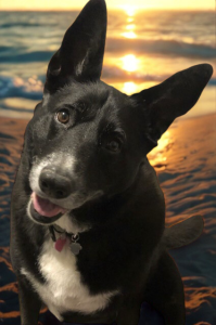 Gracie Mae Beach Pic