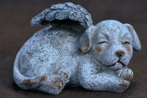 dog-memorial