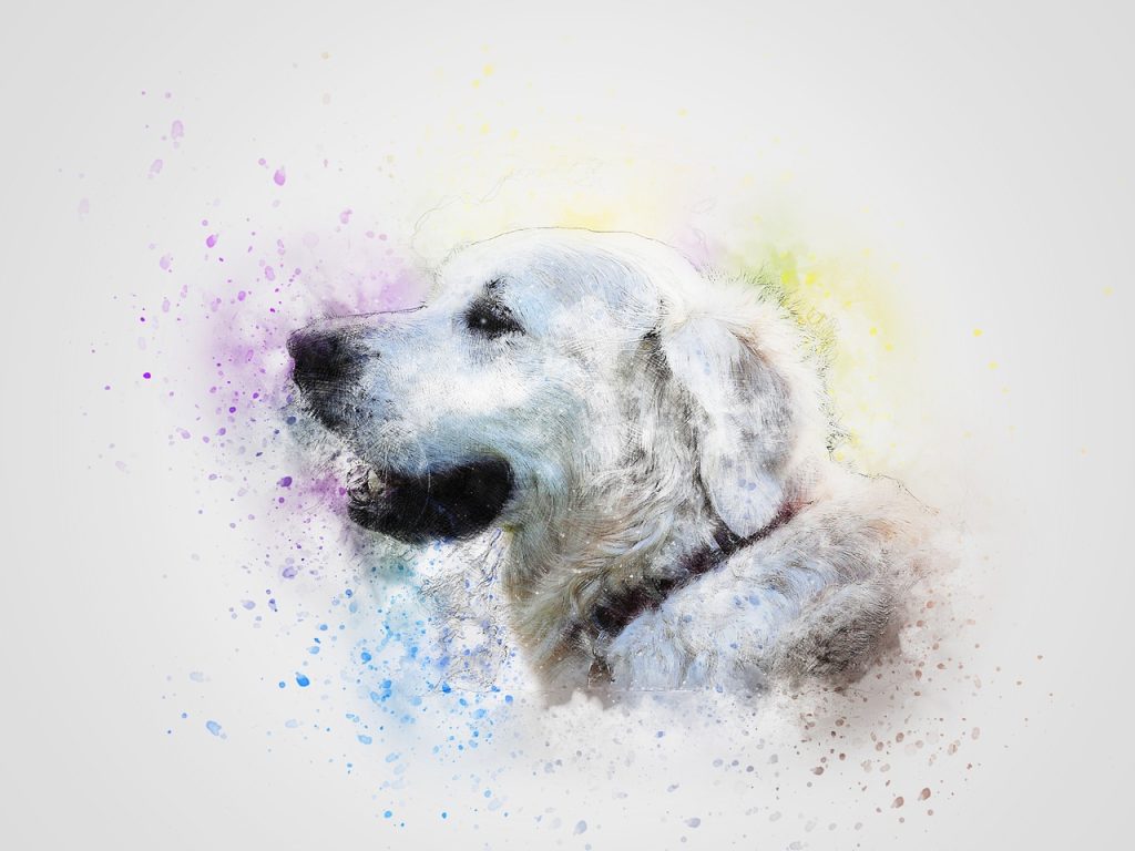 dog, pet, nature, white, art, abstract, retriever, animal, vintage, portrait, watercolor, design, scrapbooking, decoration, t-shirt, aquarelle, paint splatter, digital art, digital paint, drawing